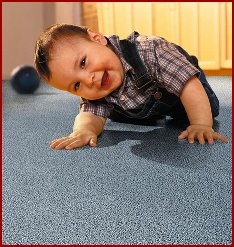 Carpet Cleaning