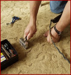Pet oders, Carpet repair & dyeing